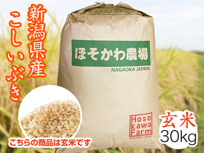 令和8年産】 新潟県産ザ・プレミアム・コシヒカリ玄米（30kg）｜ ほそ